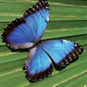 Meet your Posher, Joni